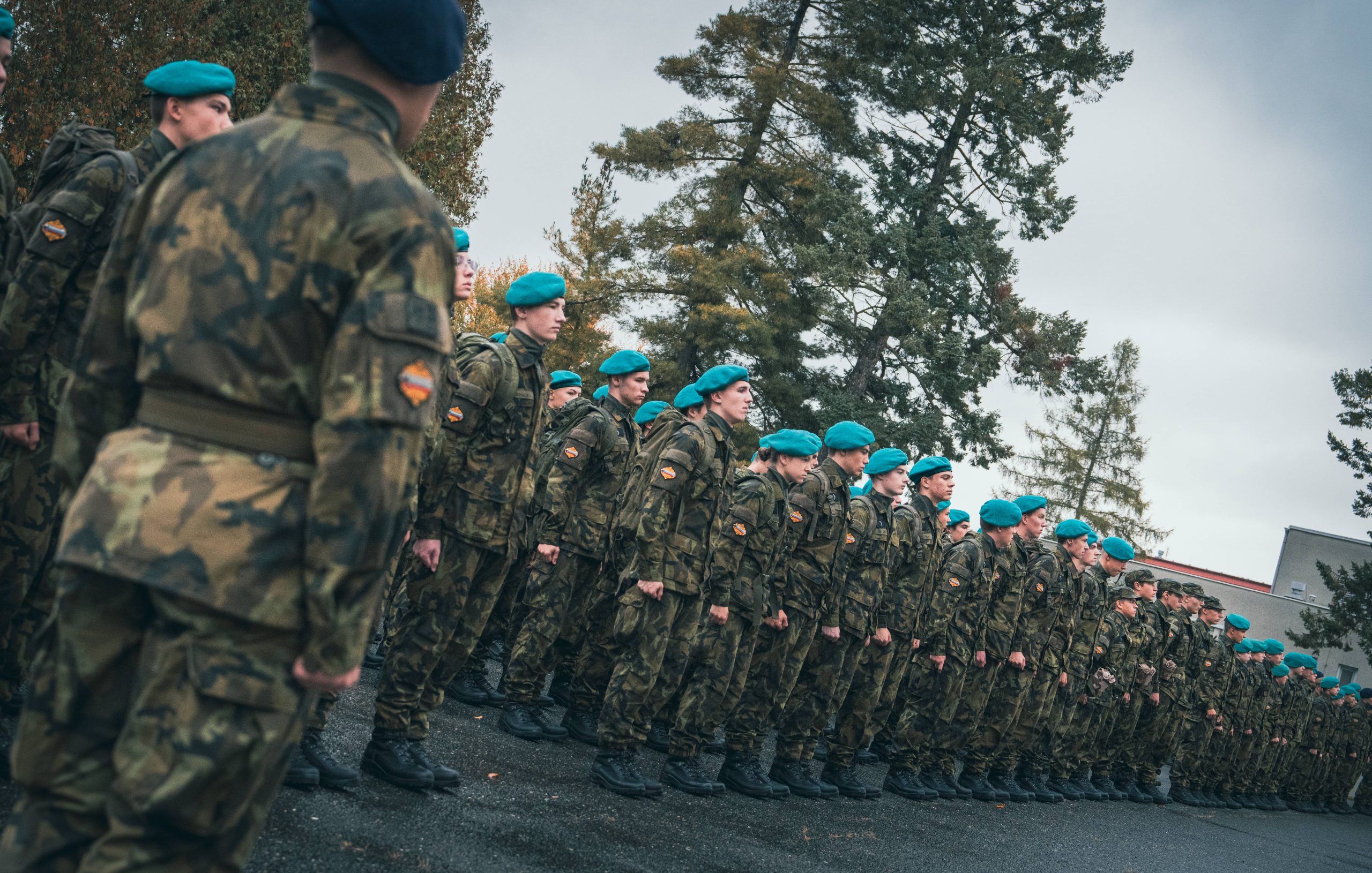 freecompress-A7_02137 (1)